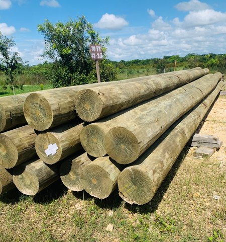 TREATED UTILITY / SALTWATER POLES